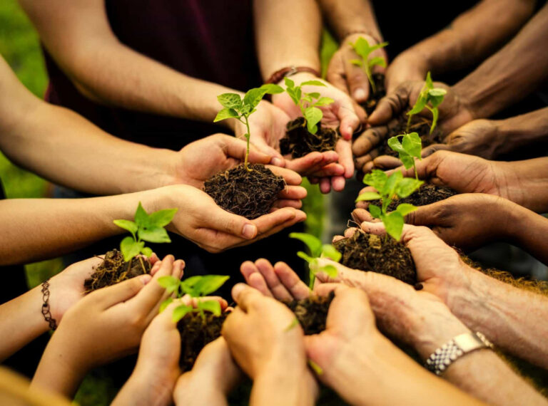 dia-nacional-educacao-ambiental-scaled